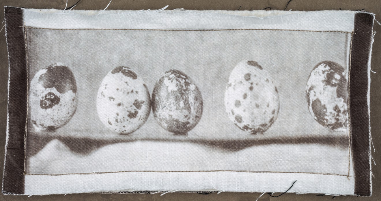 Jacqueline Webster, "Quail Eggs," Van Dyke brown on linen from a wet plate collodion negative, cotton batting, thread; 2016.