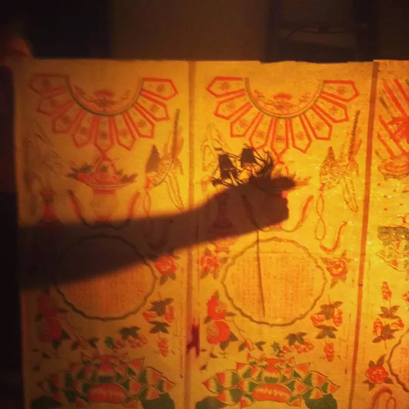 Image: A shadow adaptation from Mairead Case's work-in-progress about Antigone.