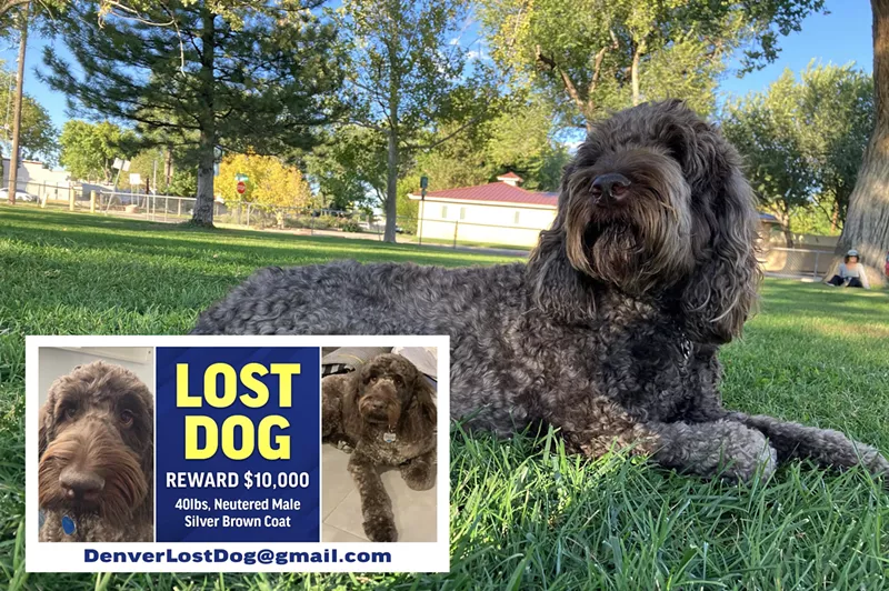 Image: A lost dog advertisement offering $10,000 for the return of Pickle.