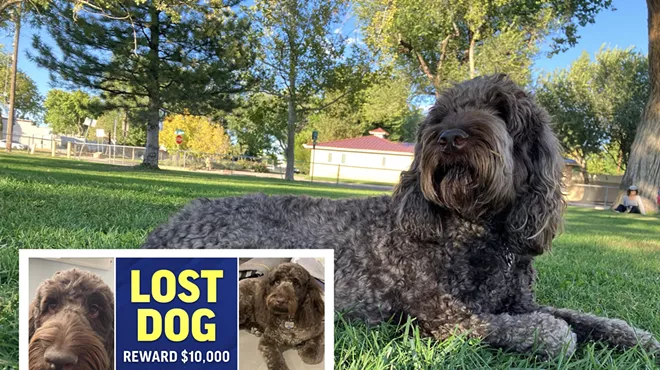 A lost dog advertisement offering $10,000 for the return of Pickle.