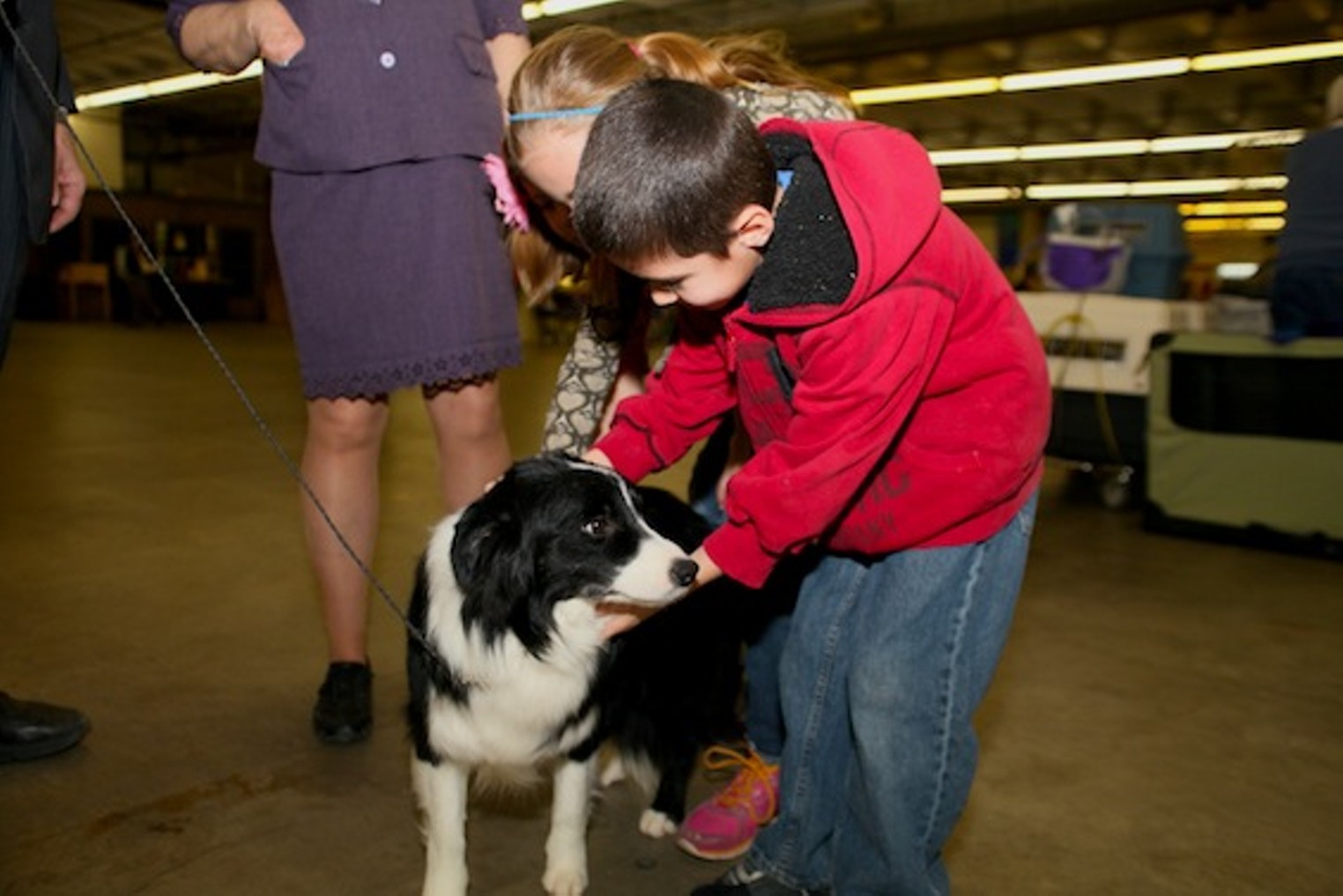 40 Cutest Canines of the Dog Show Denver Denver Westword The