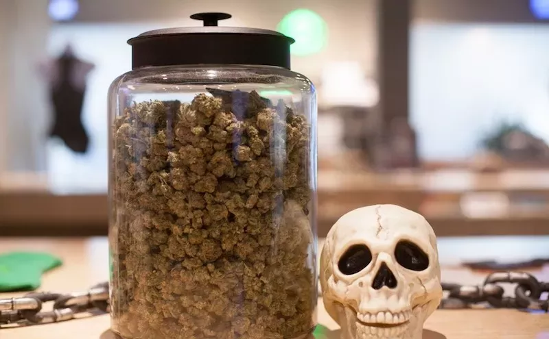 Image: A Budtender's Essential Observations During the COVID-19 Pandemic
