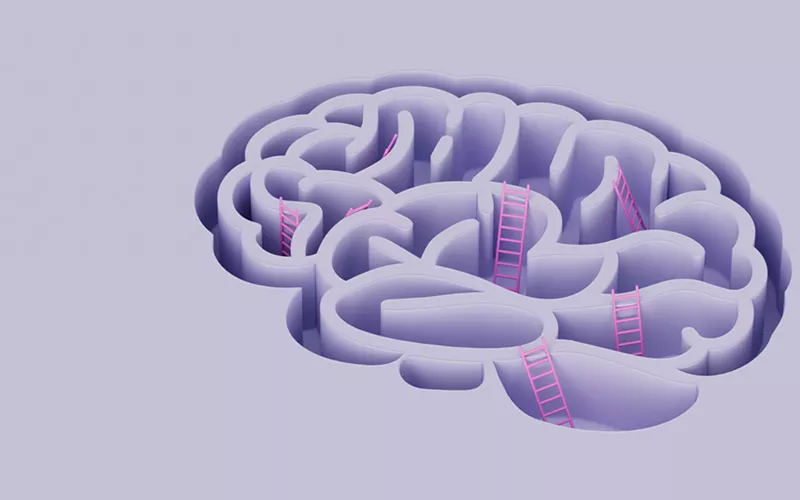 Image: brain illustration with ladders