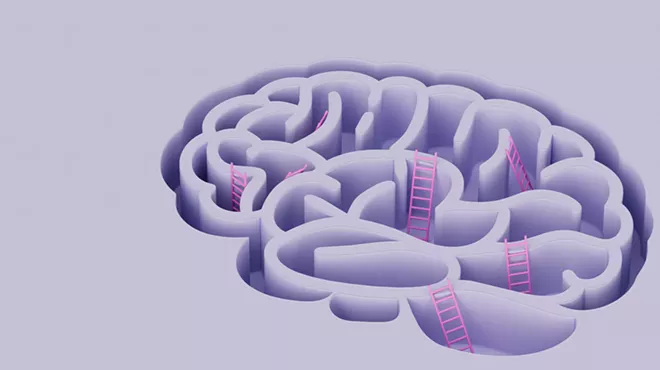 brain illustration with ladders