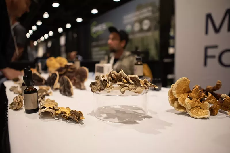 Image: Mushrooms on display at the 2023 NoCo Hemp Epxo