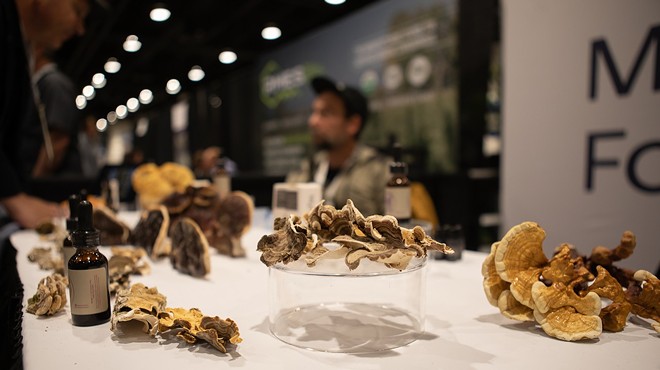 Mushrooms on display at the 2023 NoCo Hemp Epxo