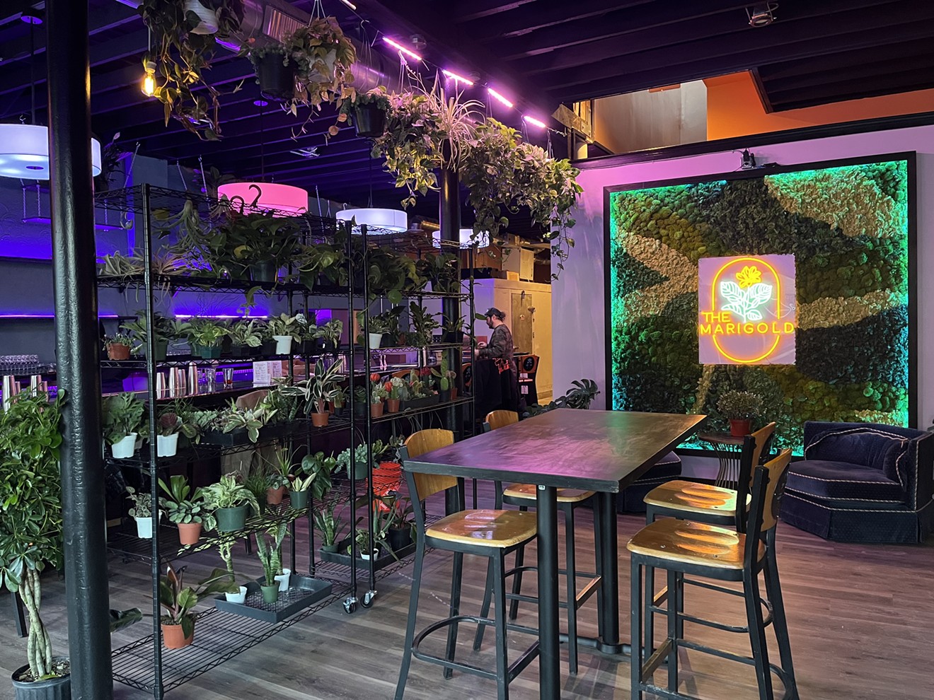 Marigold is filled with plants, including a living moss wall created by Lauren Silver.