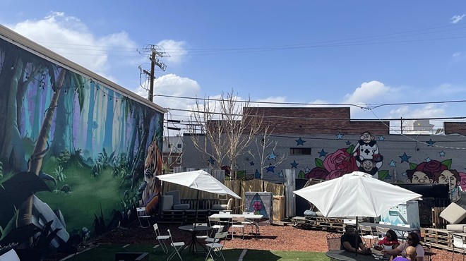 Backyard patio with murals in Denver