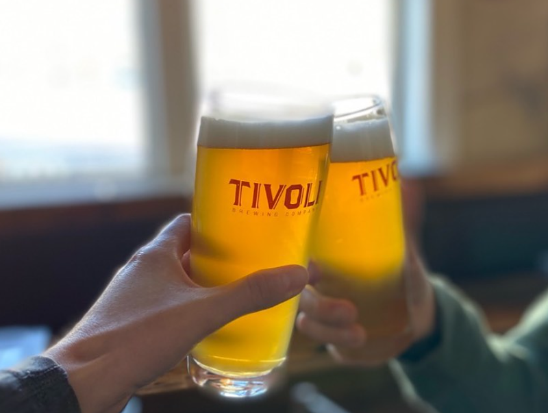 Image: hands holding pints of beer