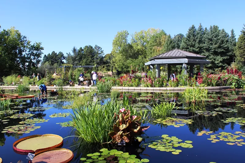 Image: botanic gardens