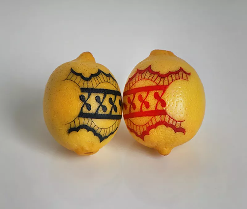 Image: Amanda Wachob, "Twins," tattooed lemons.