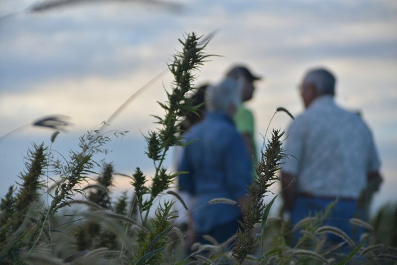 Colorado's hemp industry was divided on Amendment X.
