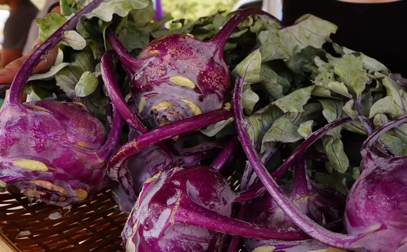 Image: Kohlrabi: This Year's Most Underrated Colorado Vegetable
