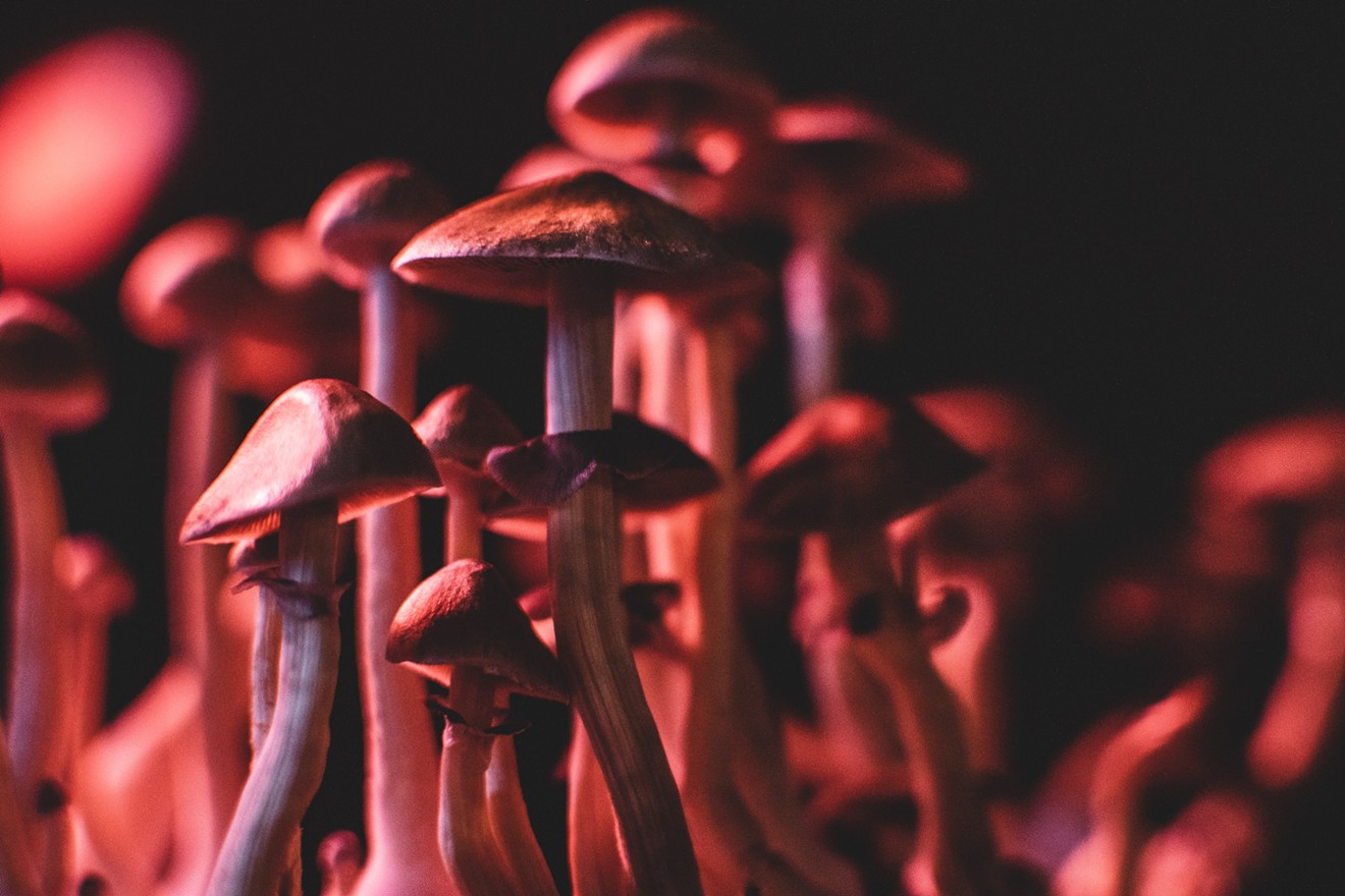 Two major psychedelic conferences are coming to Denver in 2023.