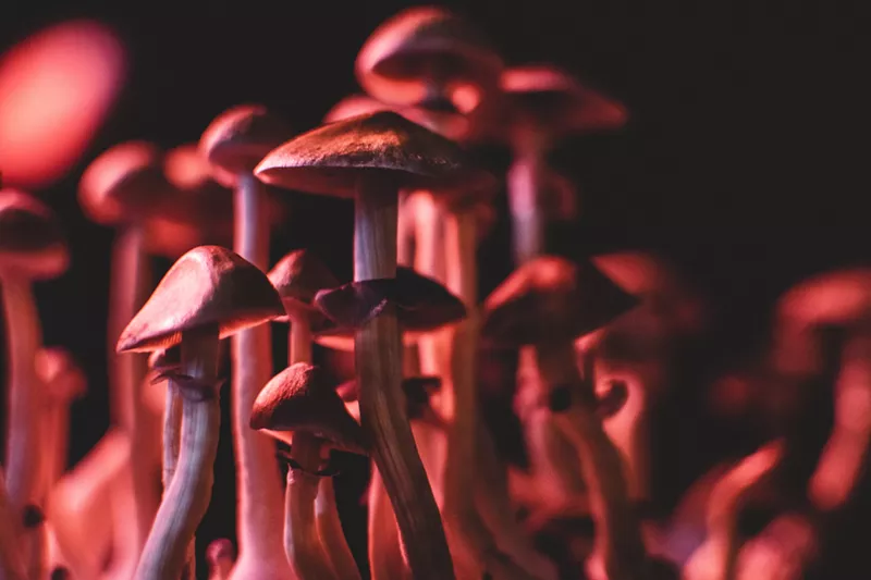 Image: Two major psychedelic conferences are coming to Denver in 2023.