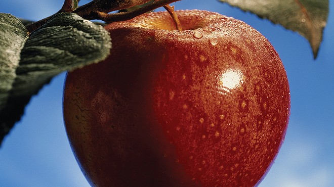 apple up close