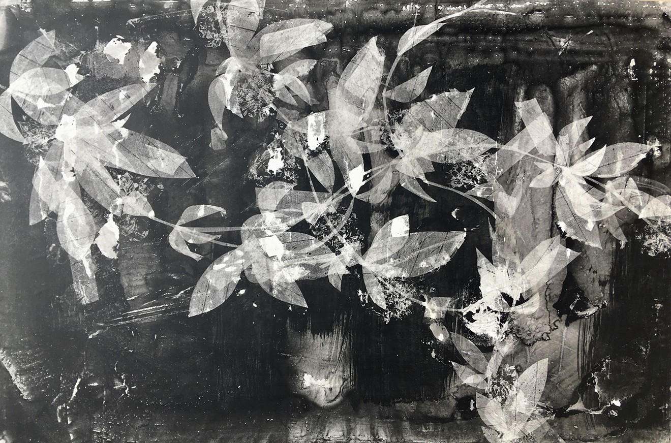 Heidi Jung, “Rambling Rose,” Sumi ink and charcoal on Mylar, mounted on panel.
