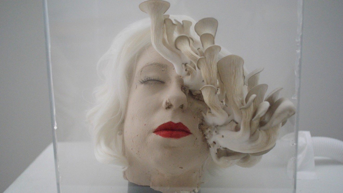Esther Hernandez, "Mushroom Head."