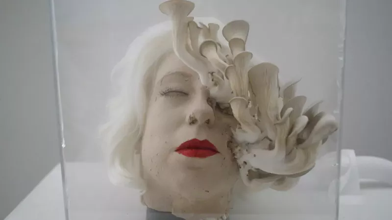Image: Esther Hernandez, "Mushroom Head."