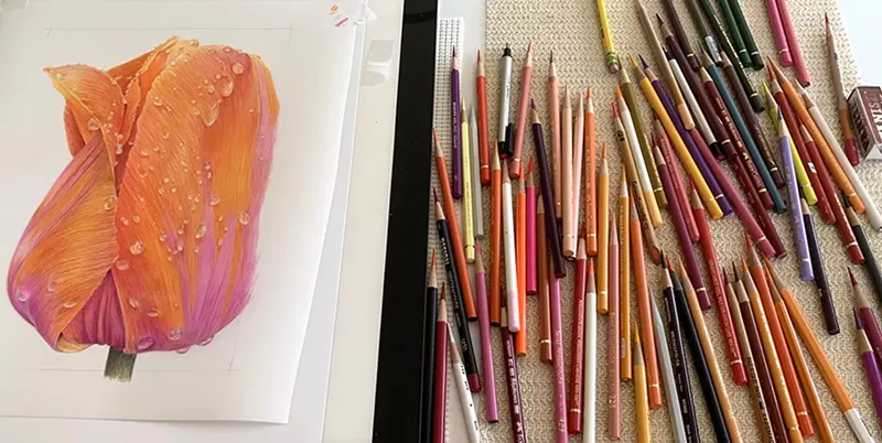 Image: The tools of Susan Rubin's trade illustrate the variety of colors that go into drafting a single tulip.
