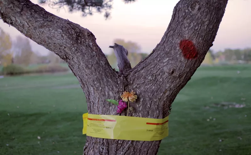 Image: Artists Try to Save City Park Golf Course Trees From Drainage Project
