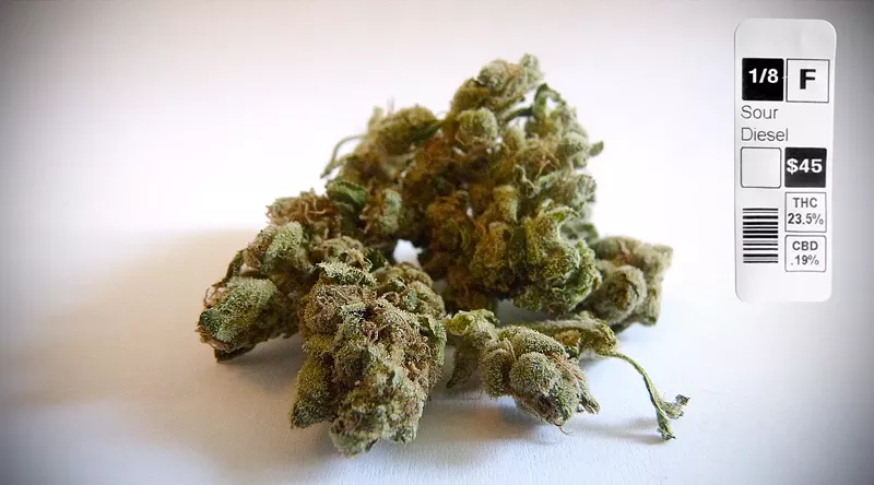 Image: Sour Diesel's place in the strain hall of fame is secure, but how relevant is it today?
