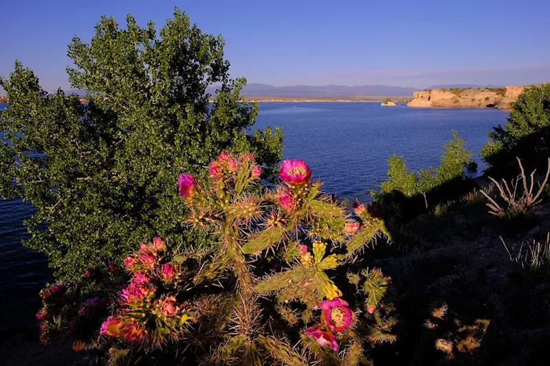 Image: Lake Pueblo State Park looks lovely, but stay out of the water!