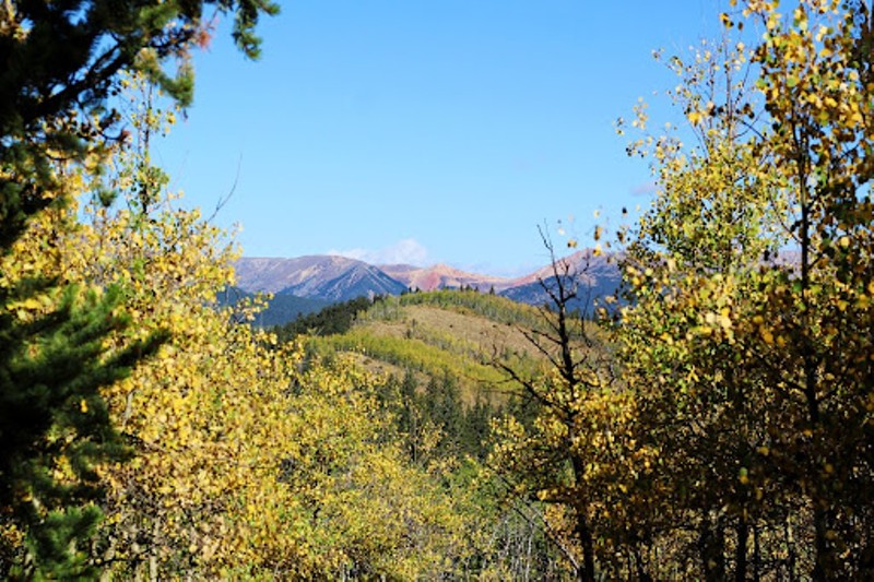 Fall foliage views on the Colorado Trail near Kenosha Pass.