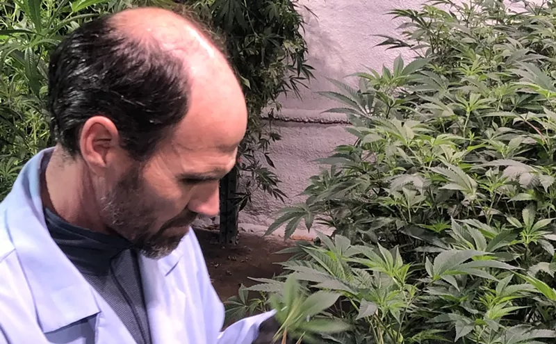 Image: Bomb Cyclone Ruins Dispensary's Opening Day, but Not the Plants