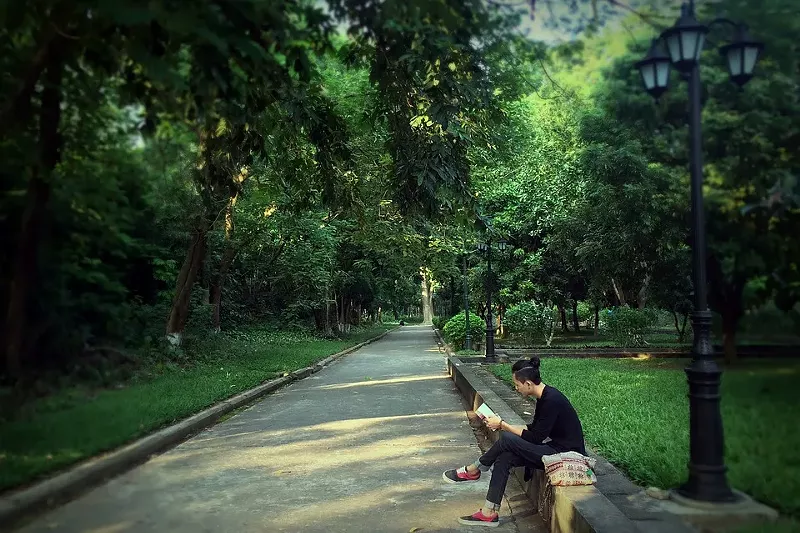 Image: Reading has always been solitary, but now more than ever.