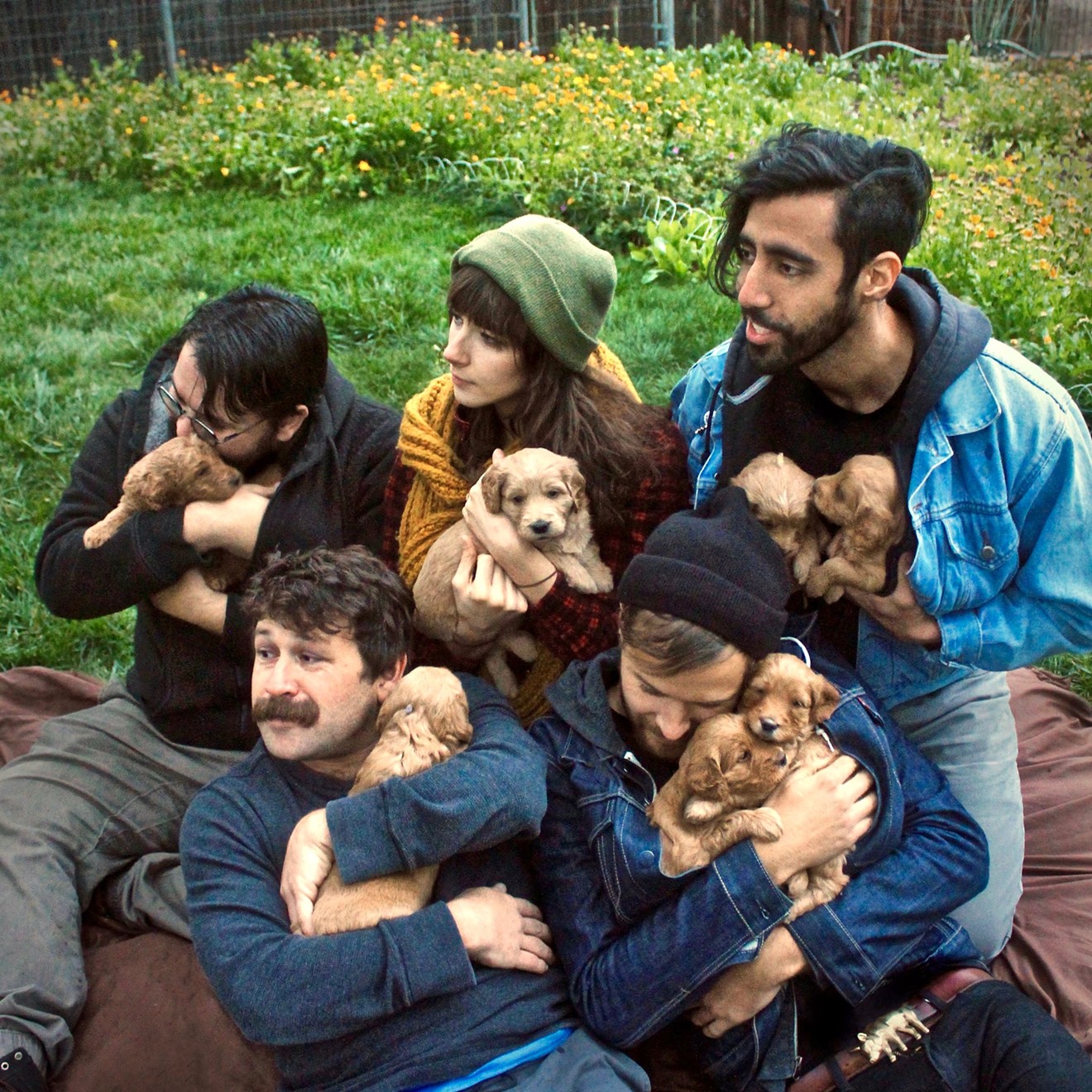 Denver indie-rock quintet Knuckle Pups snuggled up with, well, pups.