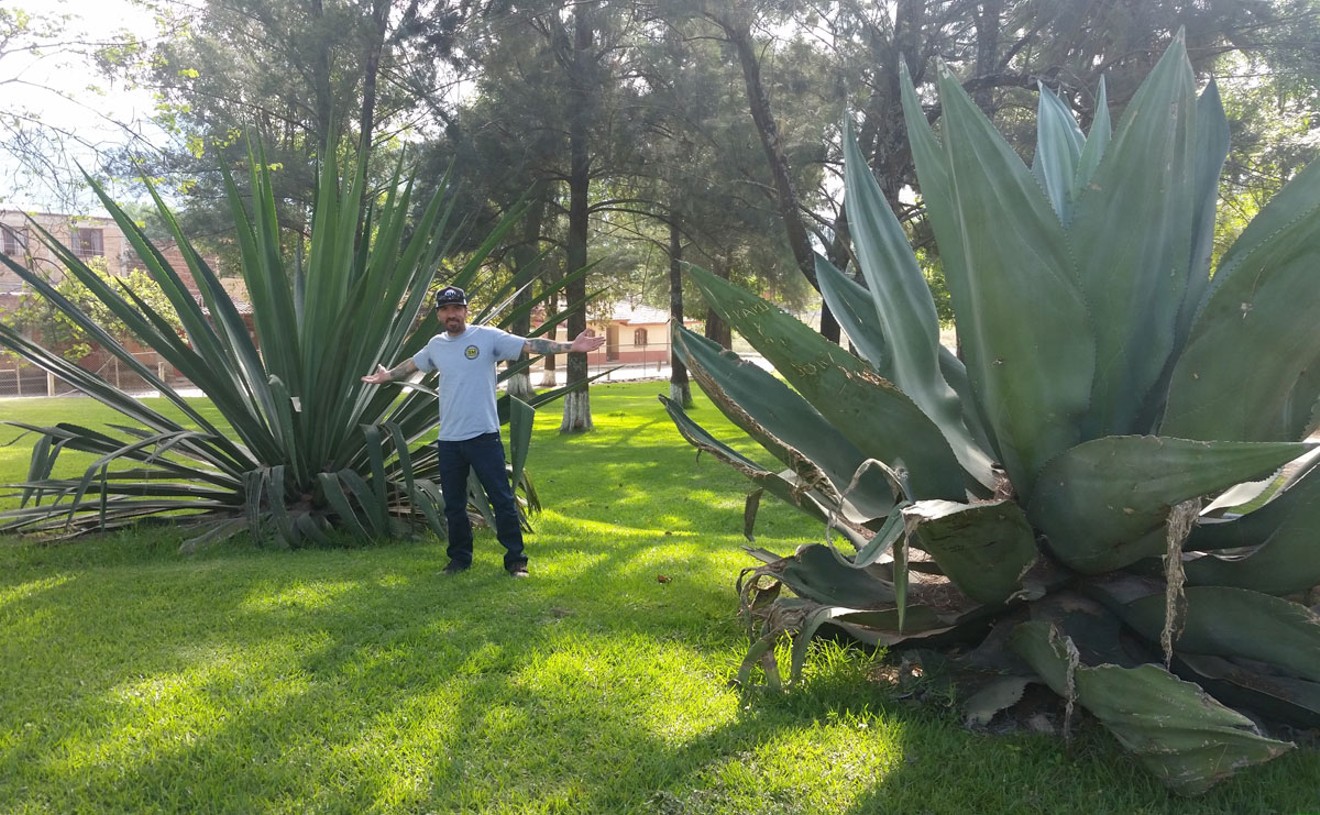 Brian Rossi shares his passion for agave at Adelitas and Palenque.