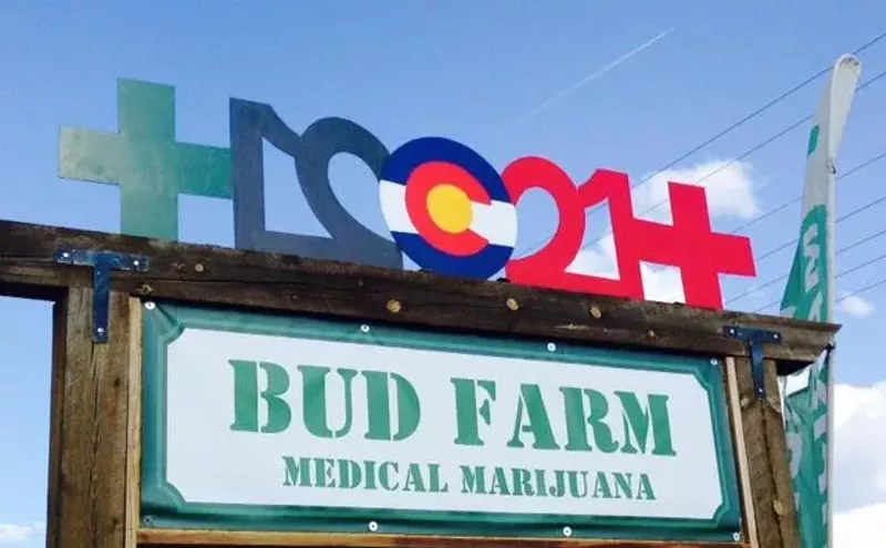 Image: Bud Farm