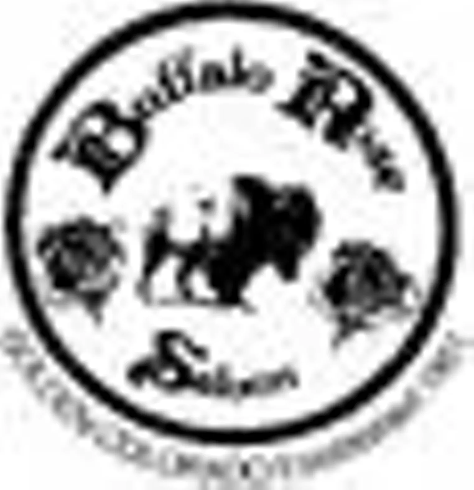 Buffalo Rose Denver Denver Westword The Leading Independent News