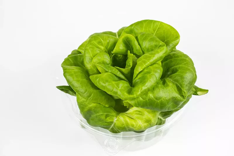 Image: You can now buy Infinite Harvest's Bibb lettuce for use in salads at home.