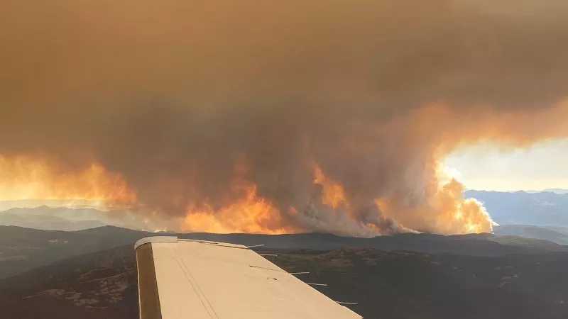 Image: An aerial view of the Cameron Peak fire.