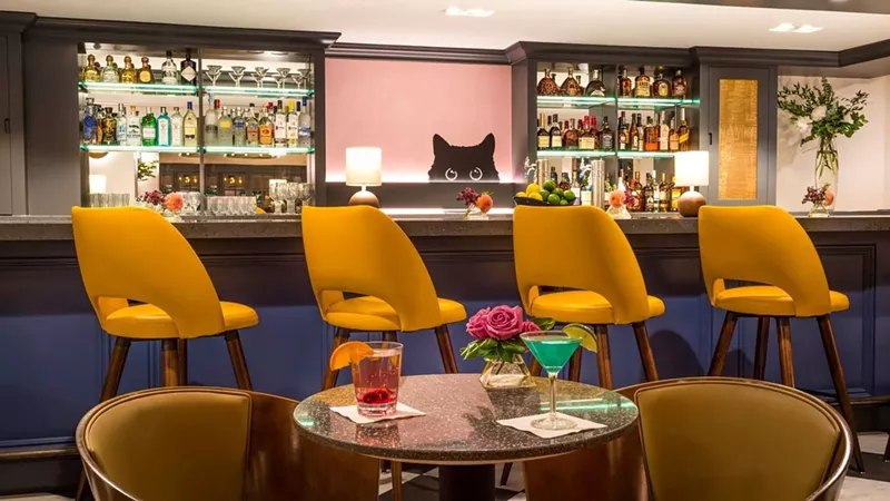 Image: orange stools in front of a bar with a painting of a cat peeking over the counter