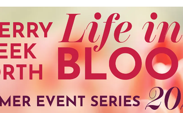 Image: Cherry Creek North Concert Series