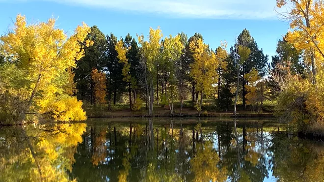 park in fall with pond in front