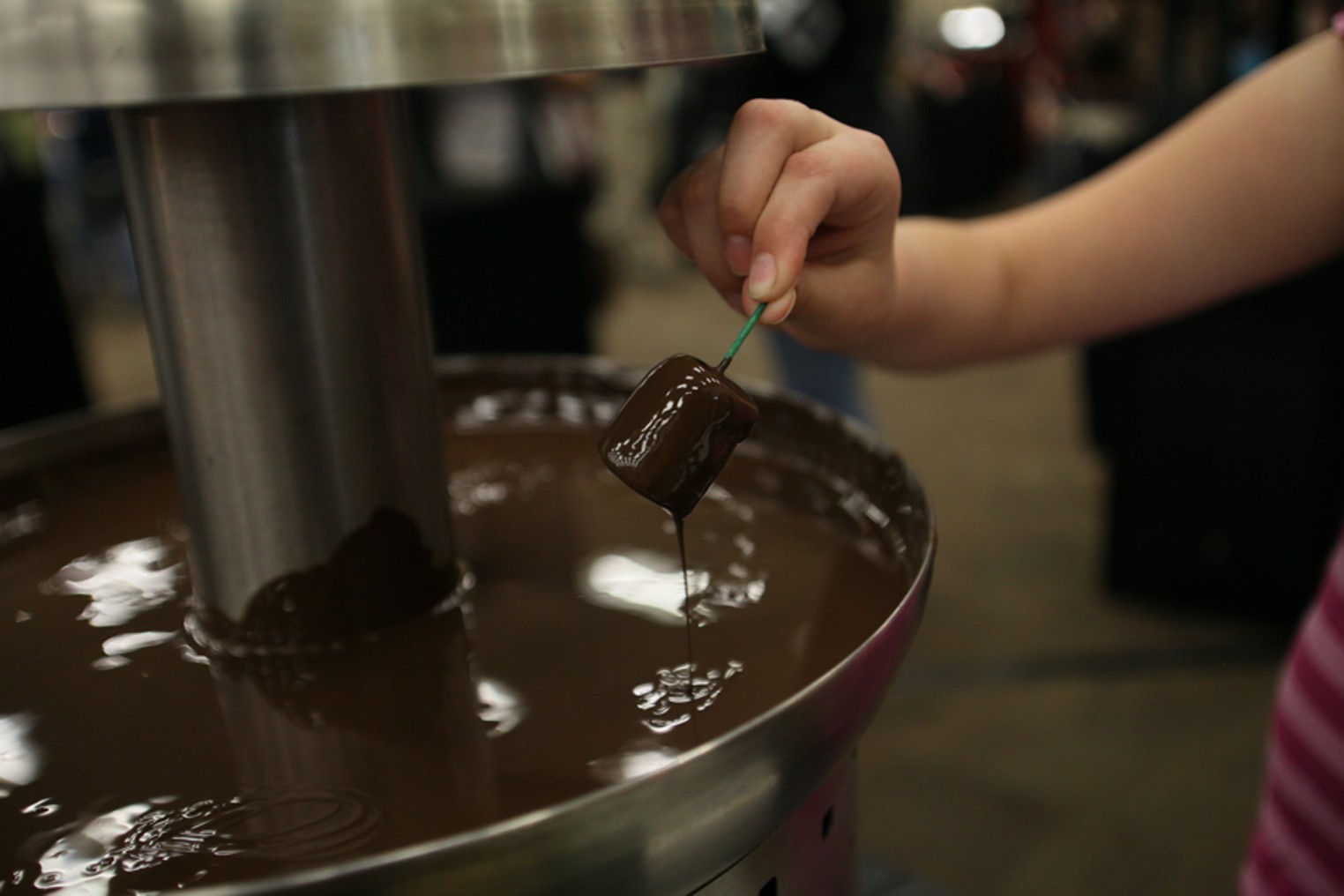 Colorado Chocolate Festival at the Denver Mart Denver Denver