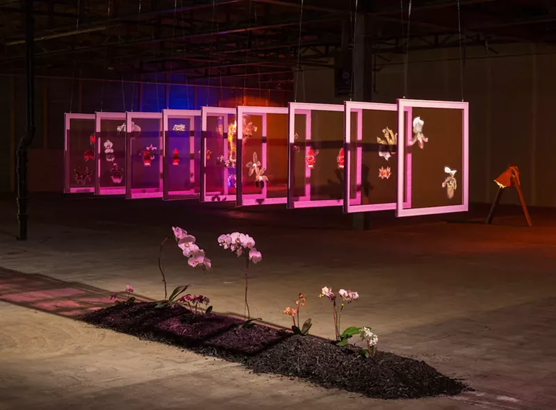 Image: Marsha Mack, “Indoor Culture, 1-9," 2017, vinyl, printed media, car fresheners, mulch, orchids.