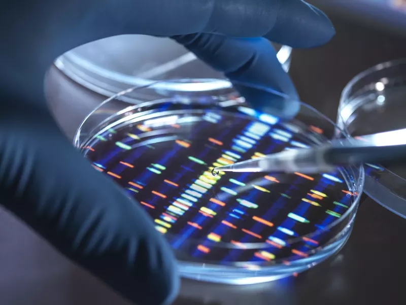 Image: Someone analyzing DNA.
