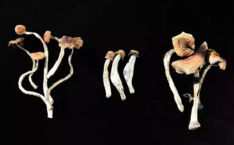 Image: Colorado lawmakers want to study psychedelics and mental health.