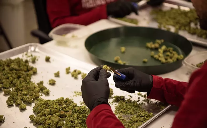 Image: Colorado Marijuana Will Likely Require Heavy Metals Testing in 2019