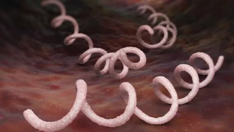 Image: An image from a recent report about sexually transmitted infections by the Colorado Department of Public Health & Environment.