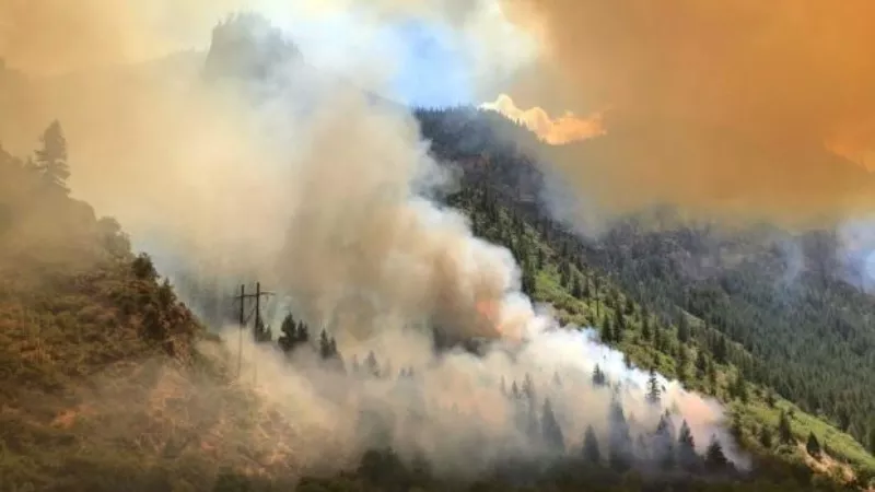 Image: An August 12 photo of the Grizzly Creek fire.