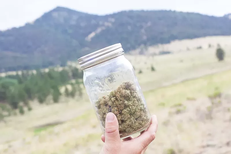 Image: The landscape of Colorado cannabis is going to evolve over the next two years.