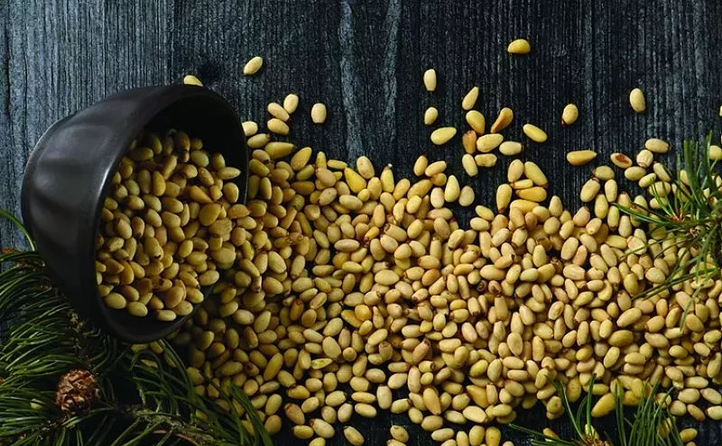 Image: Colorado's Most Expensive Native Edible Can Be Foraged for Free. Nuts!