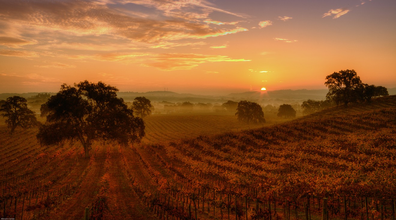Fall is here: time to choose some wines to go with warm days and chilly nights.