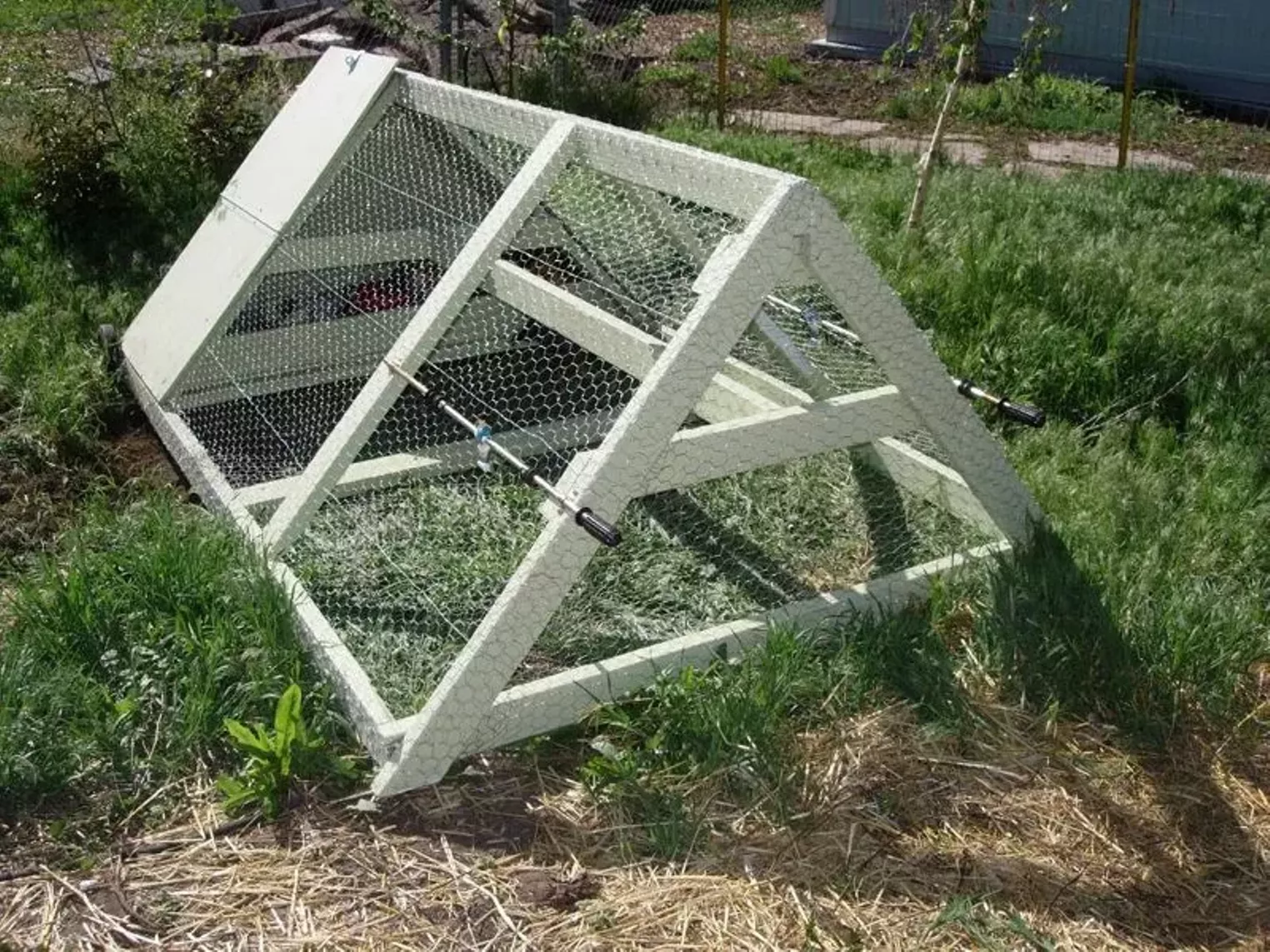 Urbavore's Dilemma Chicken Coops for the Urban Soul Denver Denver